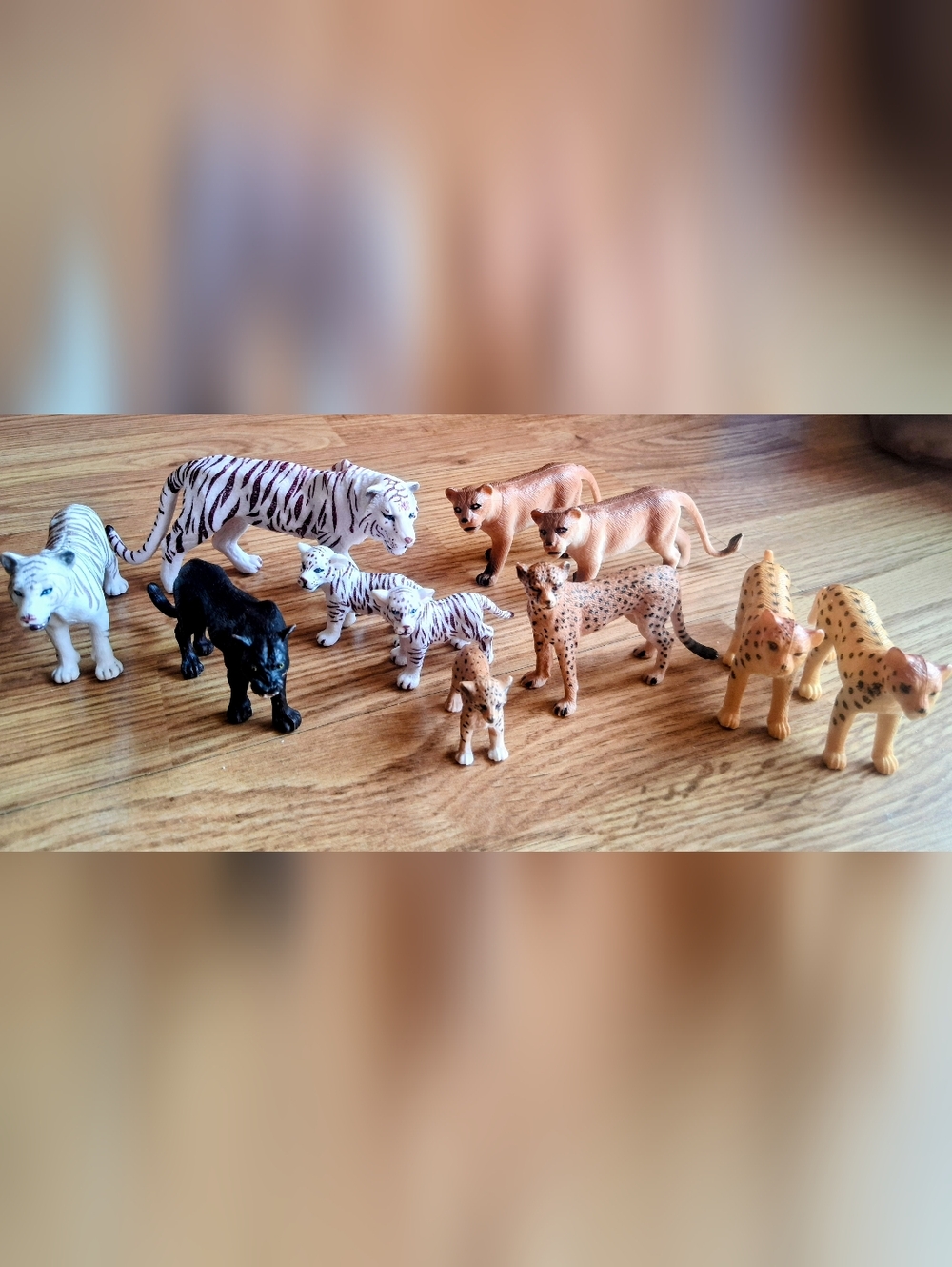 Set Of 11 toy Wild Cats , Many Type, Sizes See Pics